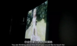 变态视频网站,暗流涌动的网络黑洞