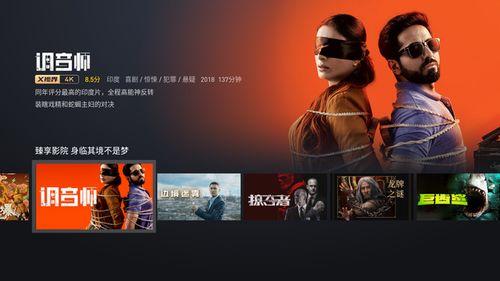 无广告视频,纯净视听之旅